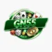 GN55 Game