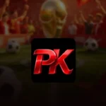 PKPLUS Game