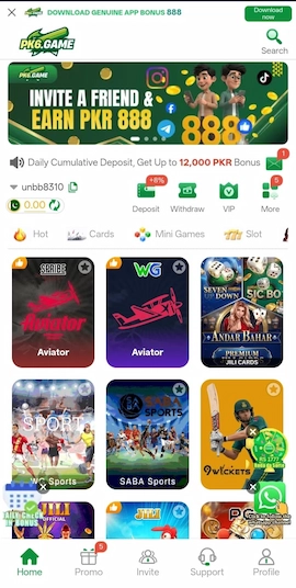 PK6 Game interface