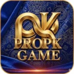 PROPK Game